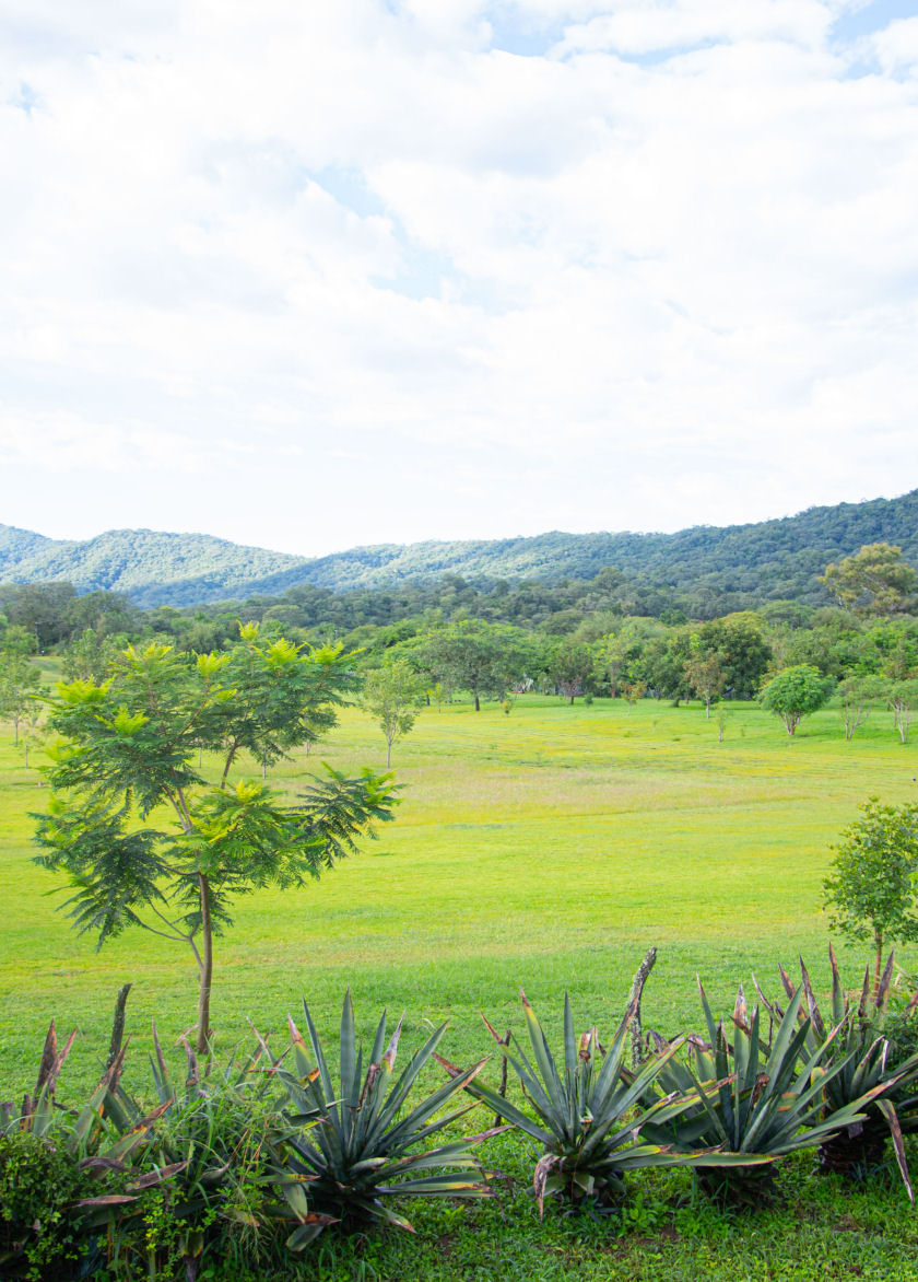 Espacio al aire libre de Camino al Andén