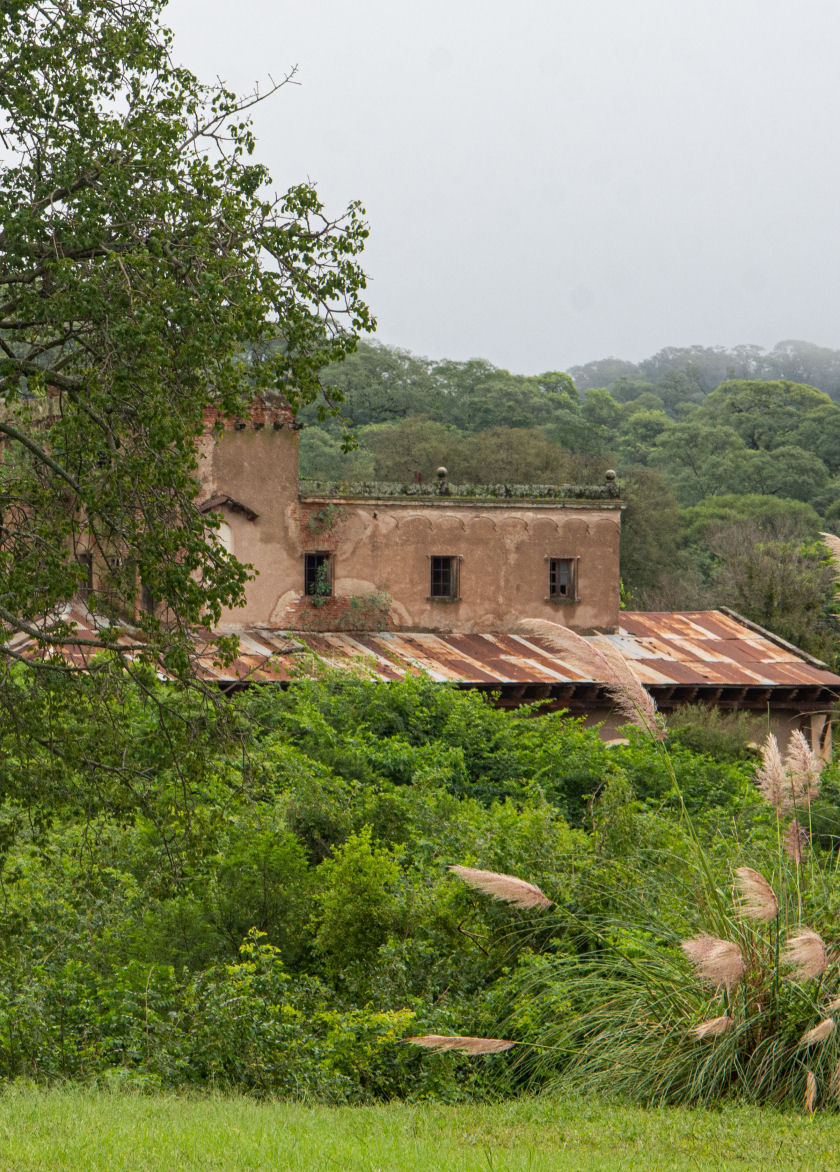 Historia y entorno natural de Camino al Andén